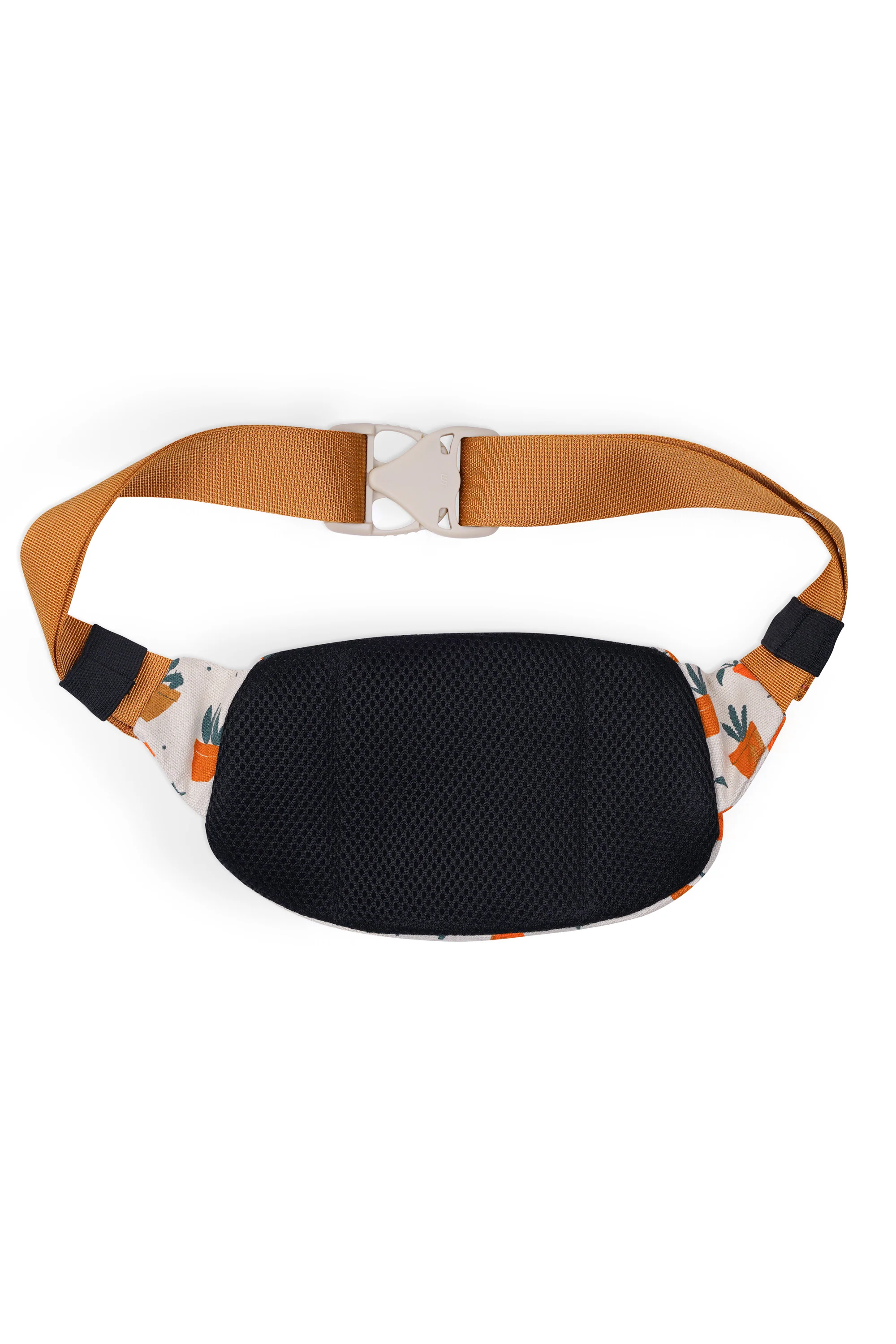 Canvas Spectator - Image 110