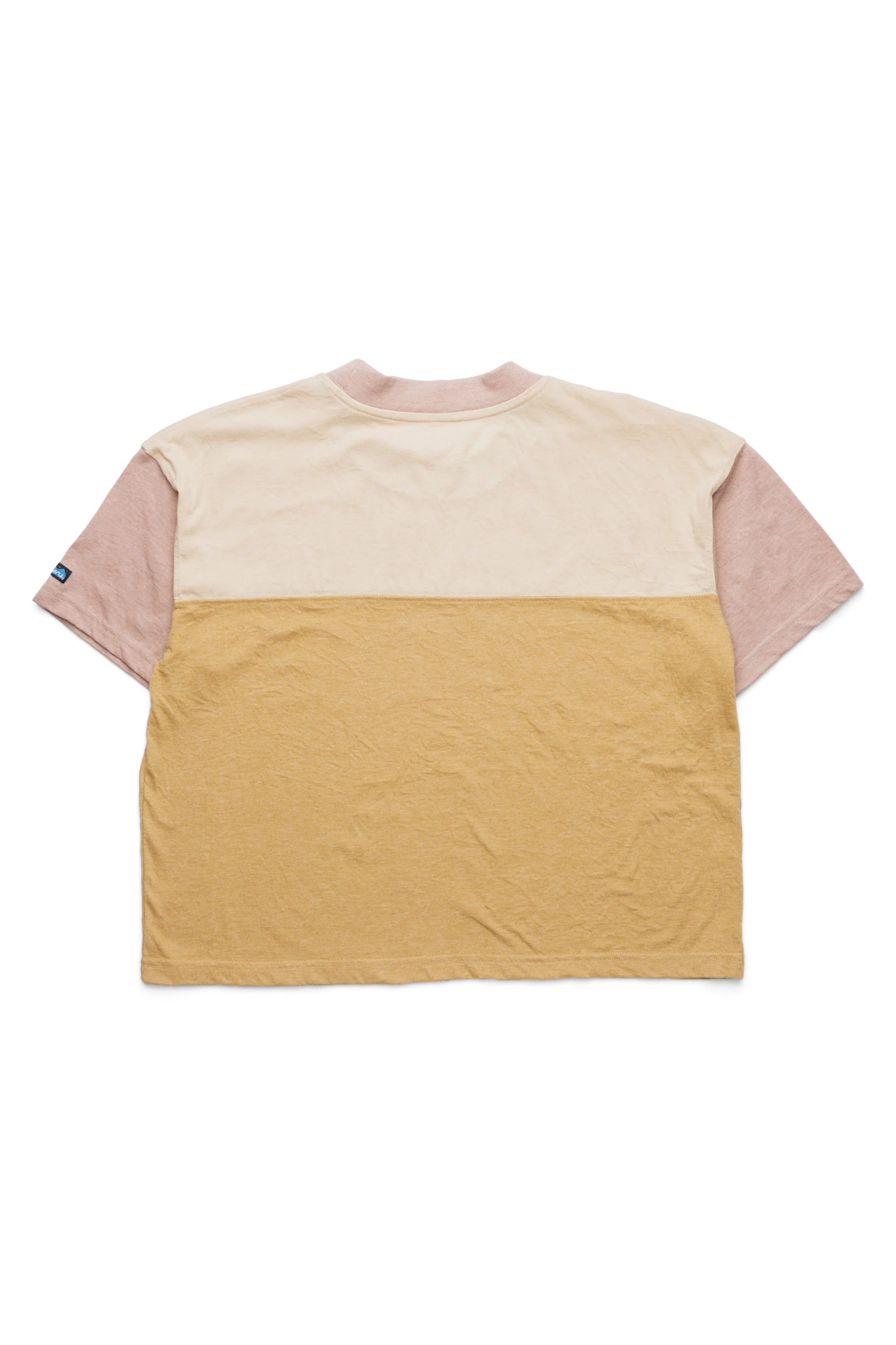 Eevi - Image 3