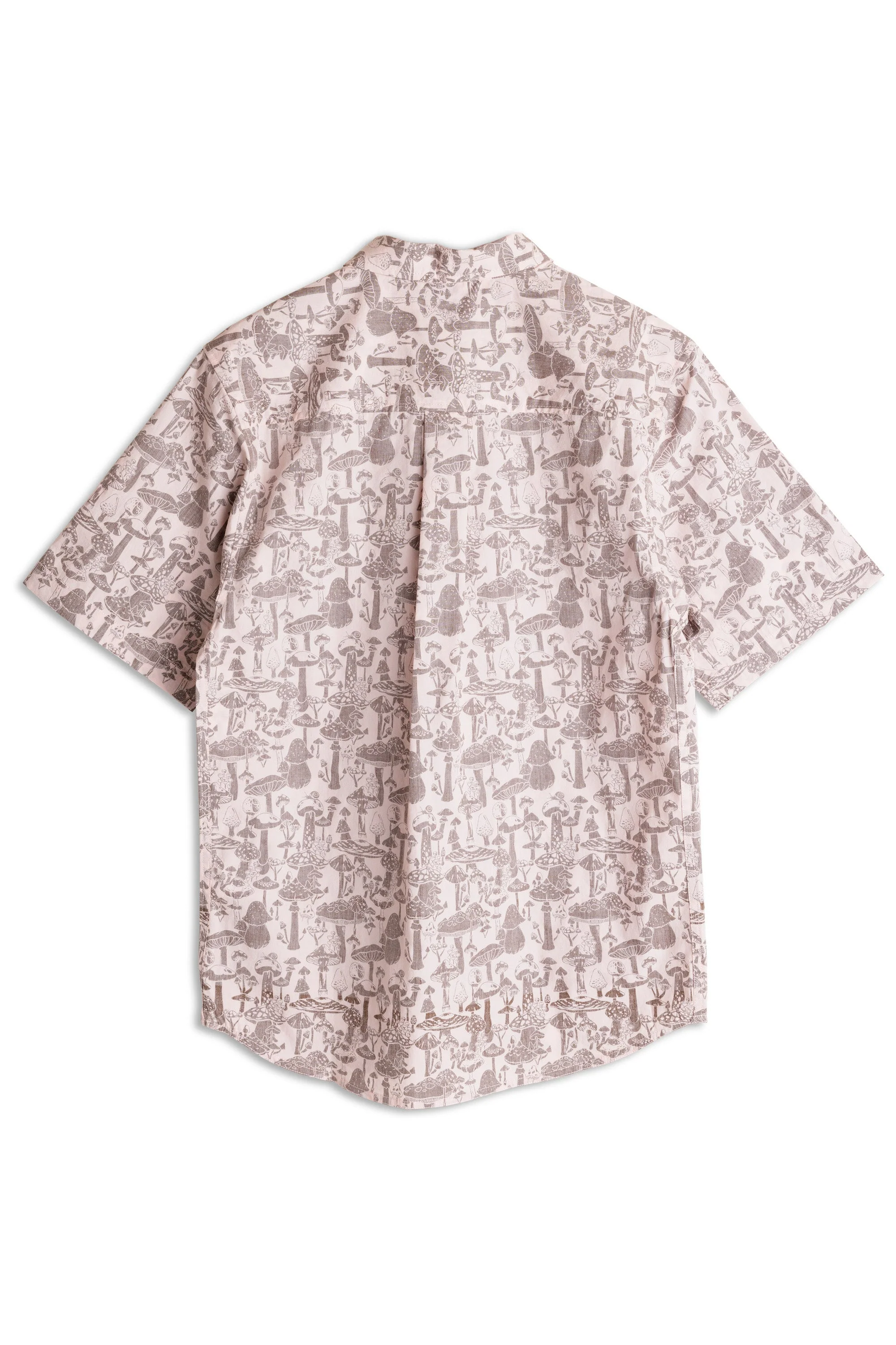 Topspot - Image 6